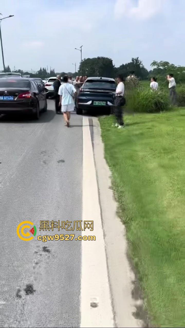 成都极氪撞护拦事故,严重的交通事故安全气囊居然没有弹出来,完全失去自救的机会,买极氪的朋友要注意啦!-1