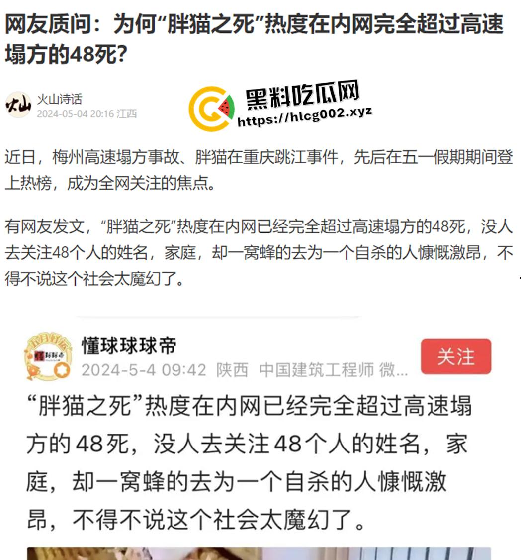 肥猫之死热度远超梅州高速惨案!工程质量问题堪忧 电车起火才是主要原因 全网没人说真话?-1