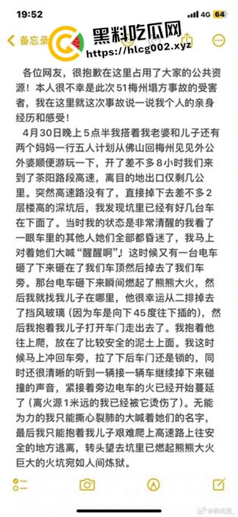 肥猫之死热度远超梅州高速惨案!工程质量问题堪忧 电车起火才是主要原因 全网没人说真话?-4