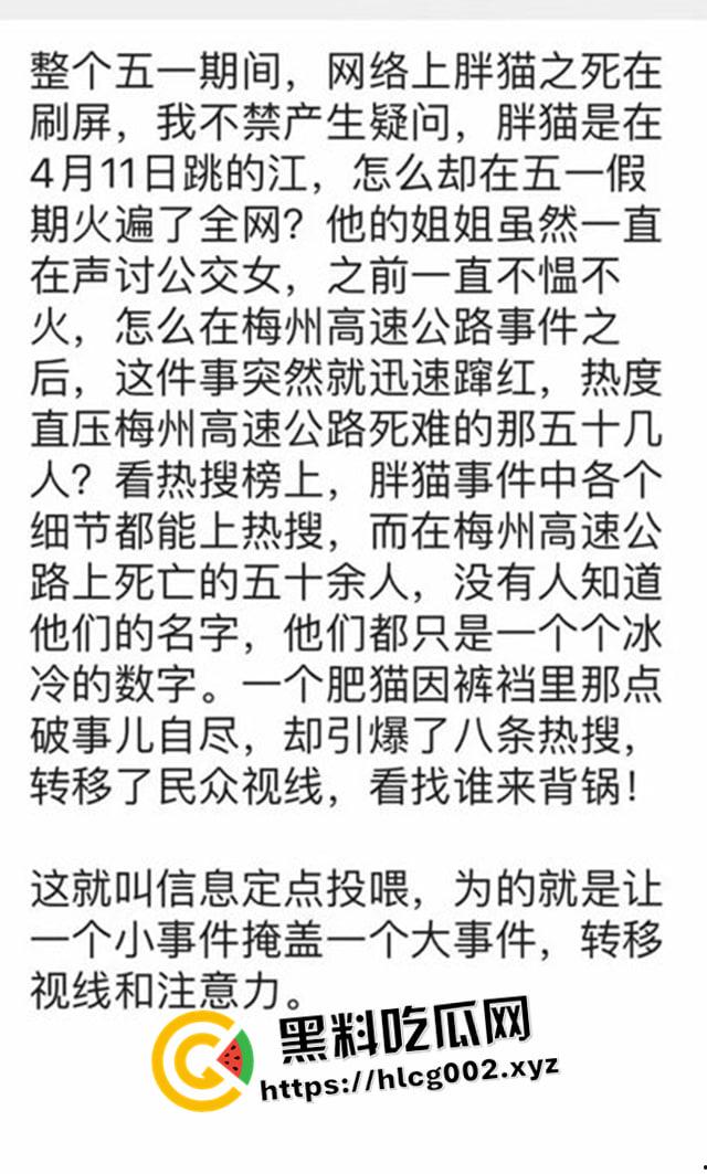 肥猫之死热度远超梅州高速惨案!工程质量问题堪忧 电车起火才是主要原因 全网没人说真话?-5