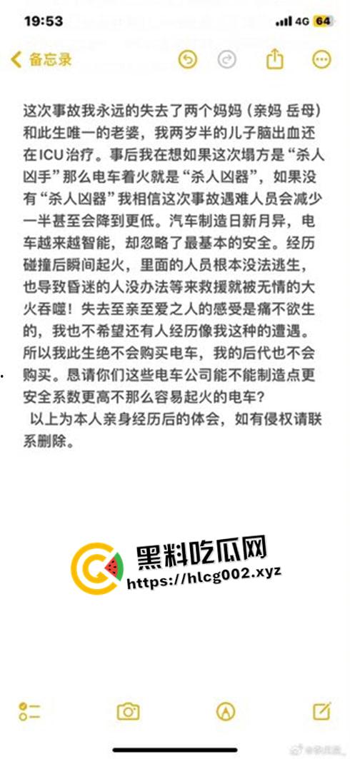 肥猫之死热度远超梅州高速惨案!工程质量问题堪忧 电车起火才是主要原因 全网没人说真话?-6