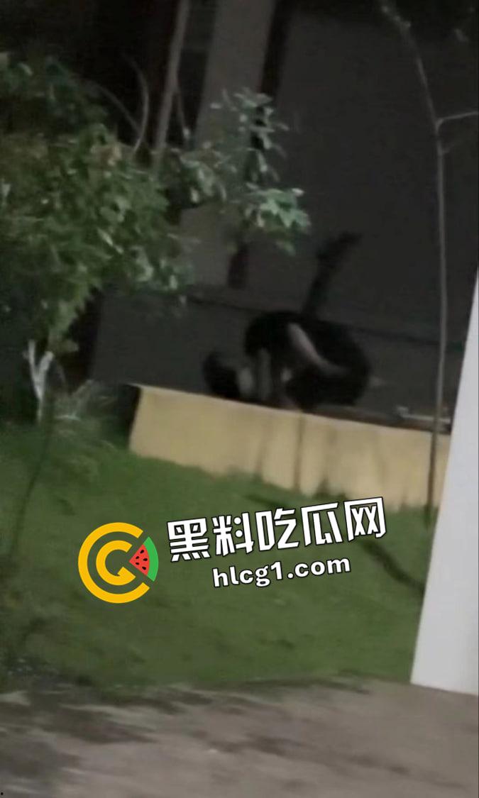 卫校小姐姐围观自己的好姐妹打野战 教学楼外干到失声大叫 现场视频流出-3