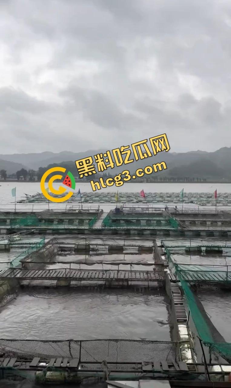 丹东鸭绿江告急！中朝两国放水泄洪，跨国大水灾一夜吞没整个边境-7