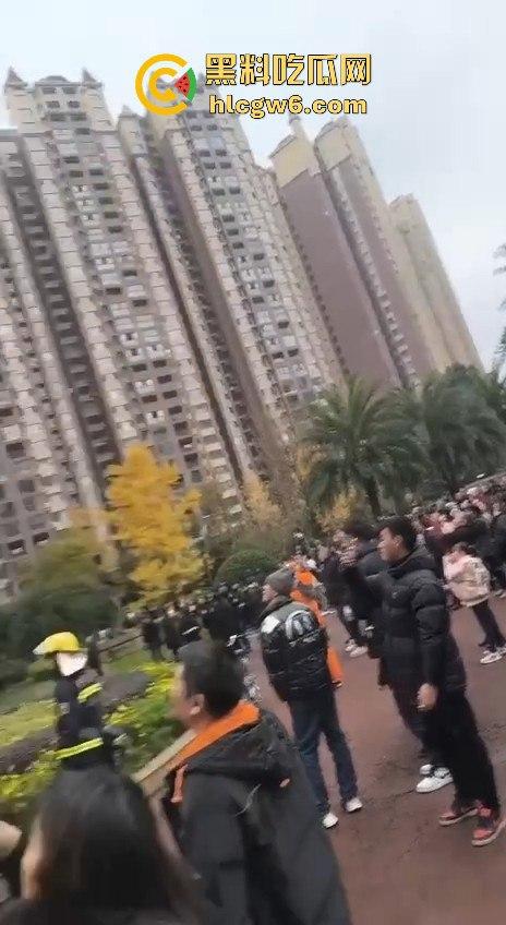 四川乐山峨眉维多利亚小区突发火灾,火灾具体什么原因引起的待确定中，出门在外一定要做好防火。-5