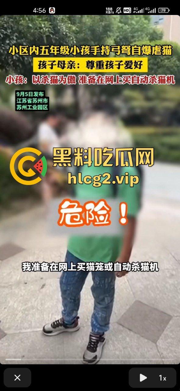 超熊男孩弩箭练杀技！虐猫升级还不够，下一步就是全家屠杀，老妈还在旁边玩消消乐-5