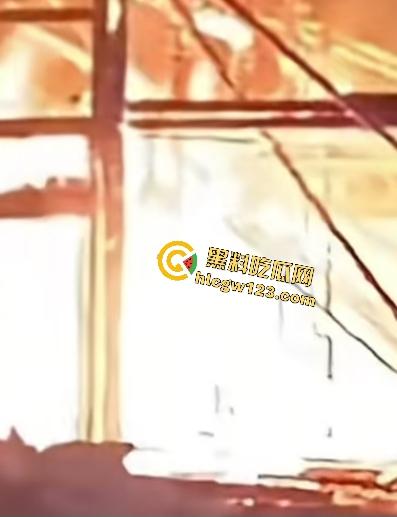 海地“绝命毒师”杀黑帮40人？掺杀虫剂当馅饼毒杀灭共生帮，自首竟没被抓还被政府奖励钱！-10