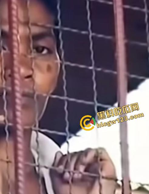 海地“绝命毒师”杀黑帮40人？掺杀虫剂当馅饼毒杀灭共生帮，自首竟没被抓还被政府奖励钱！-11