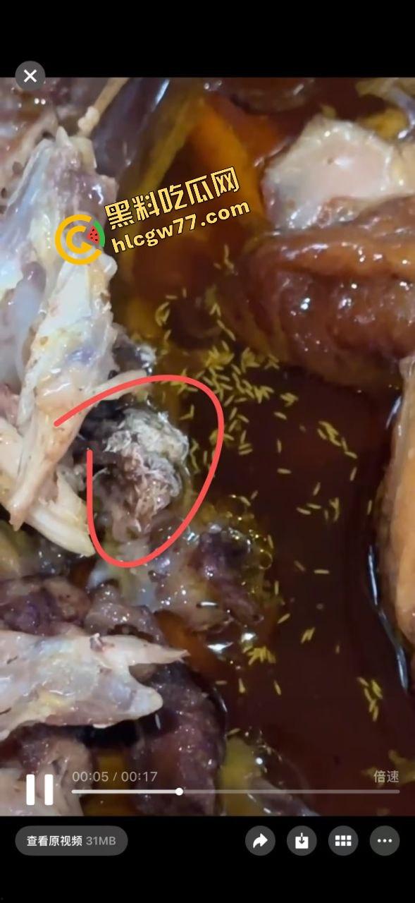 潮汕女子吃窑鸡吃出成群活虫，撕开鸡皮的一瞬间密密麻麻爬满整盒，鸡是窑的，人差点没当场吐窑！-6