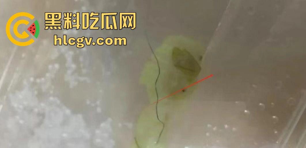 小仙女白嫖神操作！没舔狗付钱，竟拔逼毛栽赃商家，老板看傻眼！-4