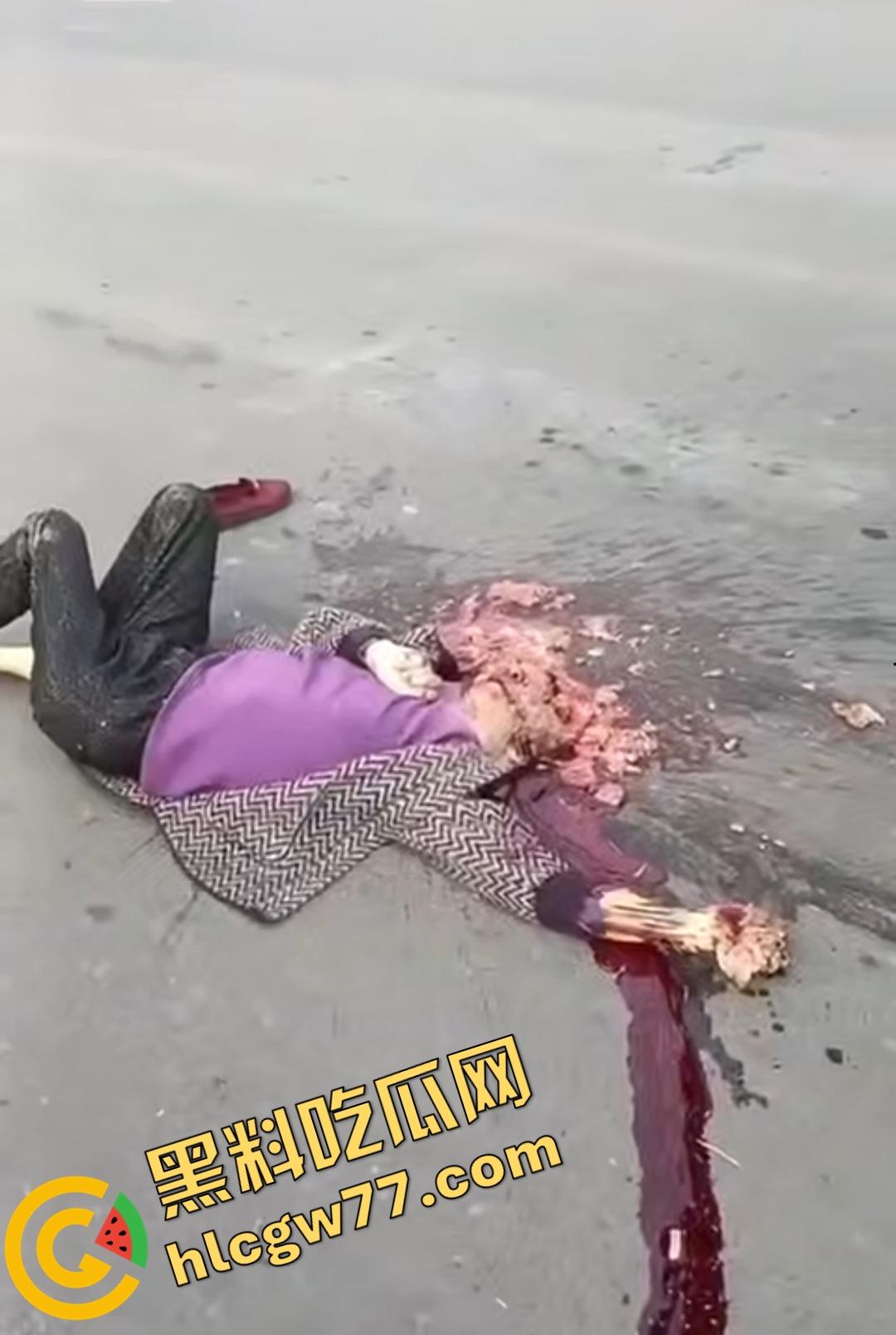 河南辉县老太太近视千度急买菜酿惨剧！大货车碾爆头颅脑浆四溅，喷到路人身上洗了个血浴！-4