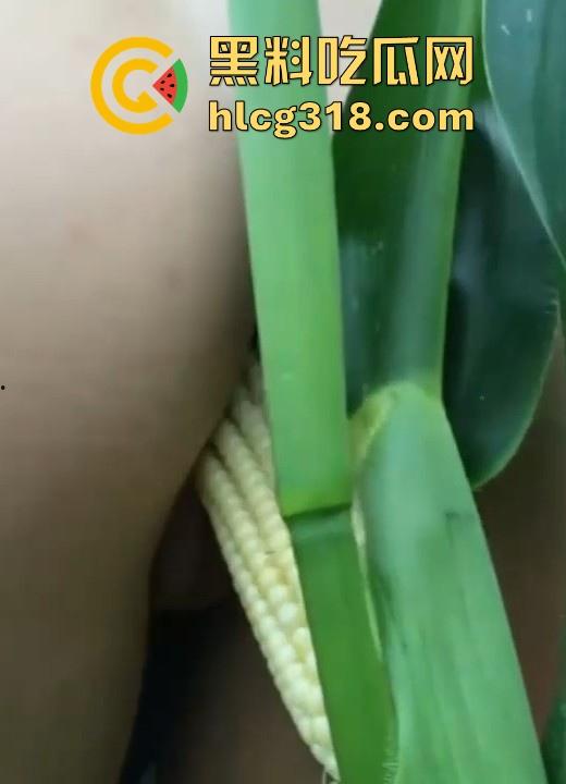 不是玉美都不放过吗！饥渴美女拿未采摘的新鲜玉米自慰，纯天然带颗粒感和高潮更配哦！-6
