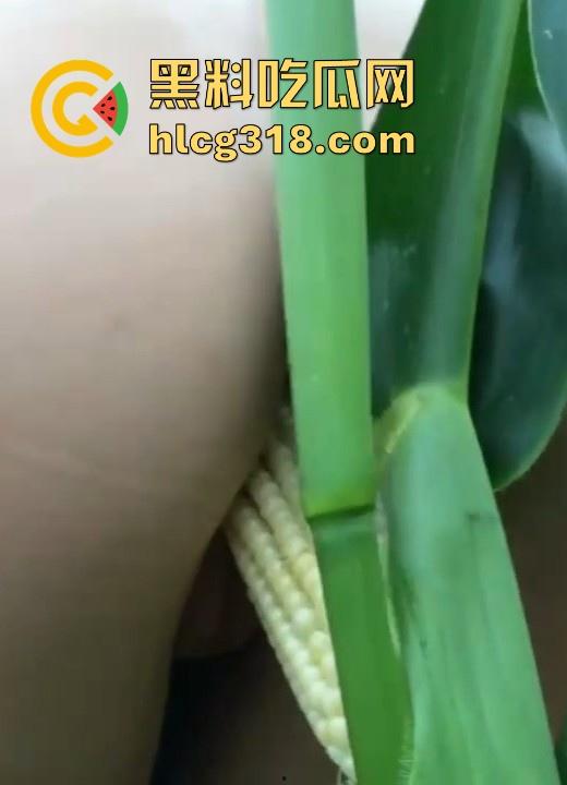 不是玉美都不放过吗！饥渴美女拿未采摘的新鲜玉米自慰，纯天然带颗粒感和高潮更配哦！-7