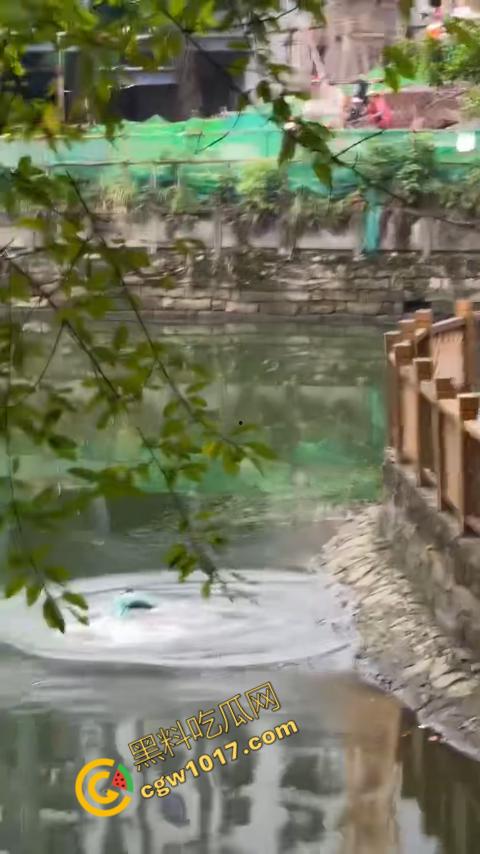 重庆湖边惊魂：绝望女子跳湖，勇敢路人生死救美，惊险拯救，揪心一刻，心跳加速，惊险刺激！-4