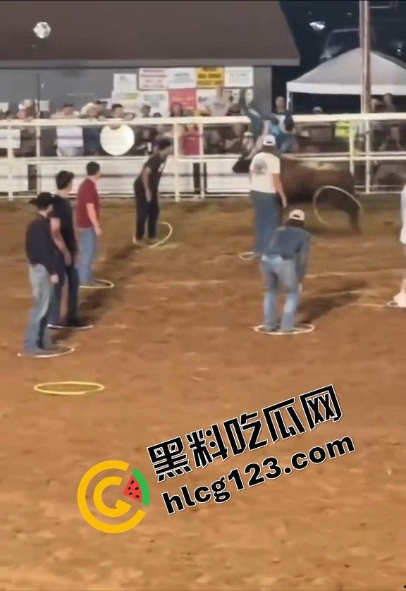 勇敢者的游戏：留在圈里拿10万美元？被牛撞一下骨折赚70万，这笔买卖真划算！-12