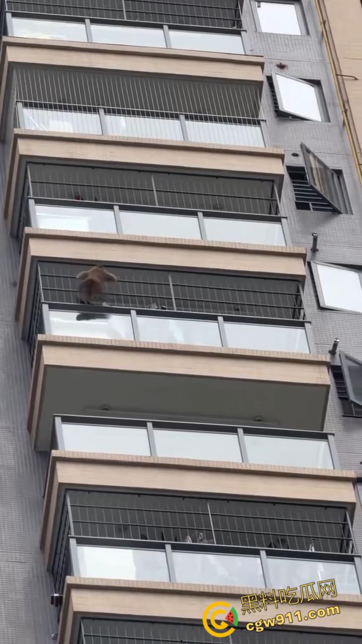 南宁龙光小区夜半惊现高层猴哥，飞檐走壁身手了得，消防员连夜在笼子周围放香蕉围捕，几次都让它溜走！-4
