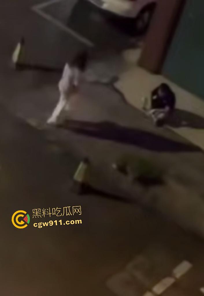 广西南宁情侣夜晚扰民,女友疯魔石头砸豪车,男友坐地被一脚踢喉管倒地,女友还补刀狂踹,不踢死不罢休!-6
