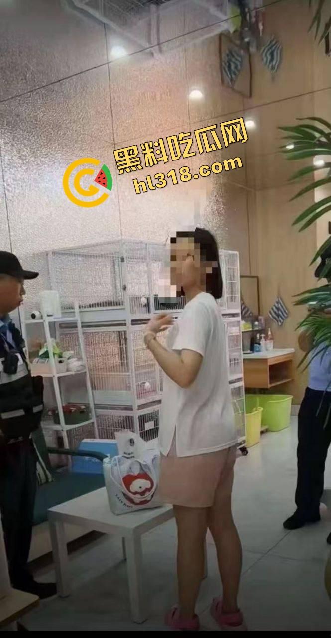 沈阳猫咖惊现女魔头虐猫狂魔，4只奶猫惨死2只重伤，老板怒曝监控报警，宠物圈集体避雷！-7