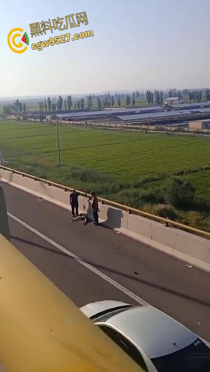 骑行作死实录,俩傻帽高架逆袭大货,人车飞天爆浆,司机溜号变逃逸,裤衩赔穿还敢骑?-9