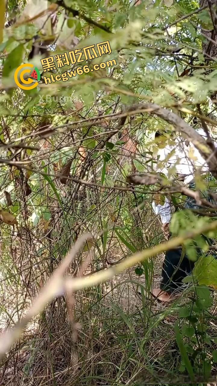 夏天的第一炮，小情侣树林野战开操果园大哥路过拍下全程，屁股抬得比桃子高，万物复苏逼也骚！-1