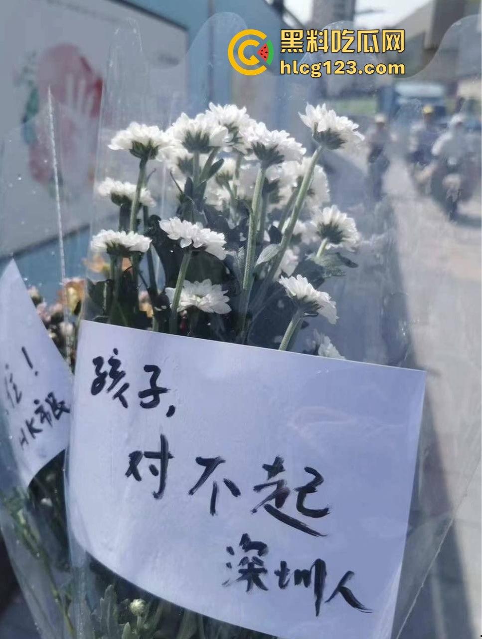 罗翔翻车了！一边谈历史一边踩雷，借排满聊排日，网友质疑他在搞民粹渗透！-7