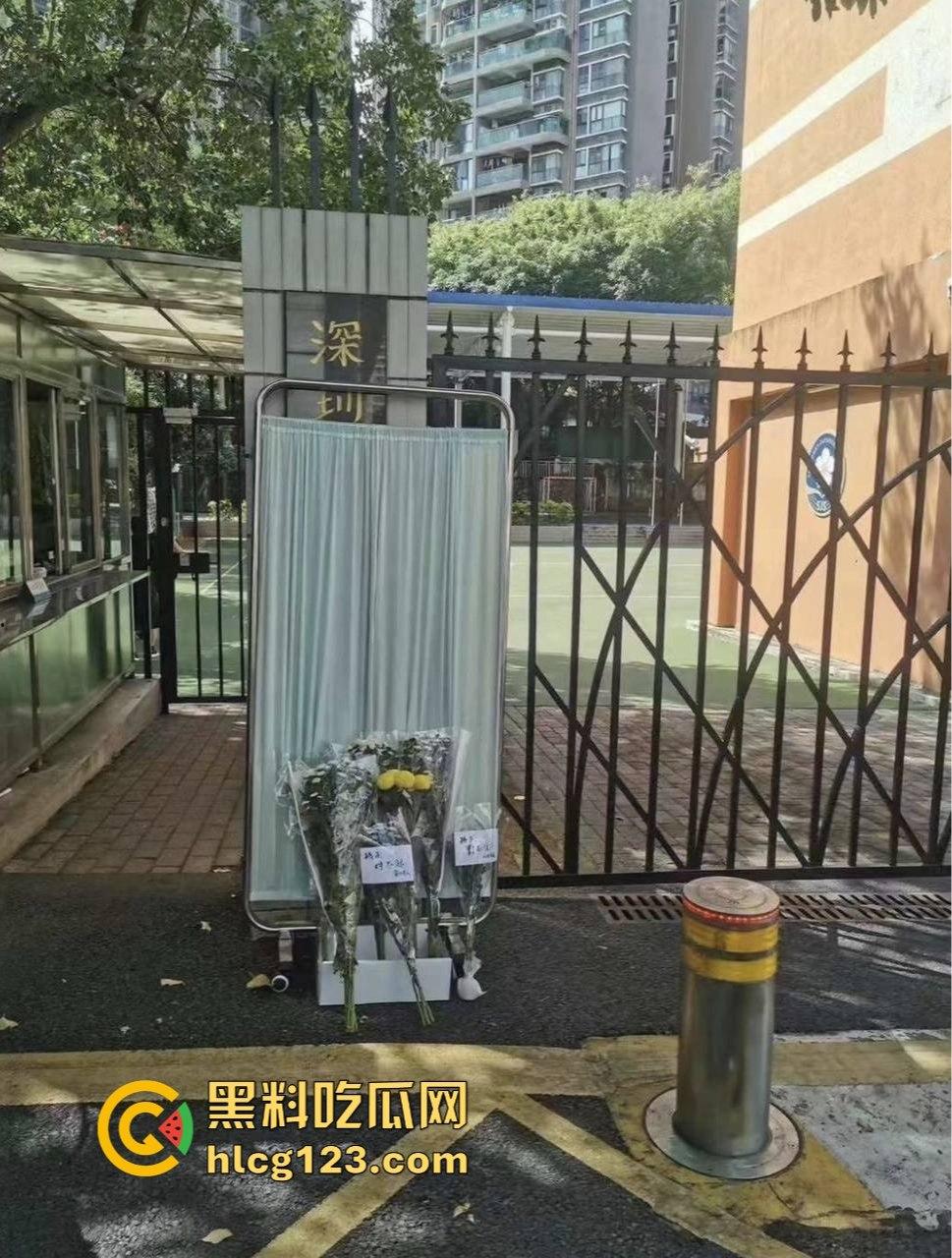 罗翔翻车了！一边谈历史一边踩雷，借排满聊排日，网友质疑他在搞民粹渗透！-8