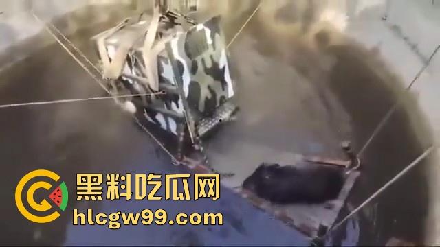 完达山一号再现？印度三哥野生老虎因追逃野猪双双落入水井，这次三哥不会趁老虎之危了吧！-1