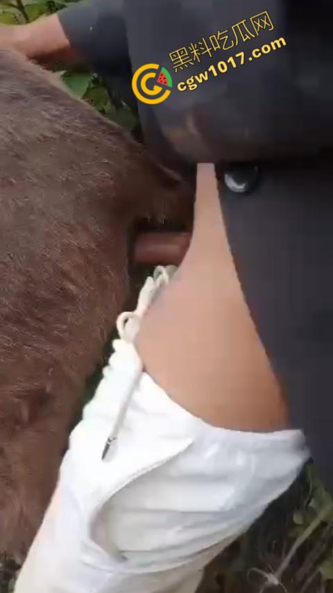 劲爆！国外男子大战骡子私拍震惊网络！阳光下奋力抽插，骡子吃草欢声不断，男子大屌进出嫩穴，友人拍摄更添刺激！-8
