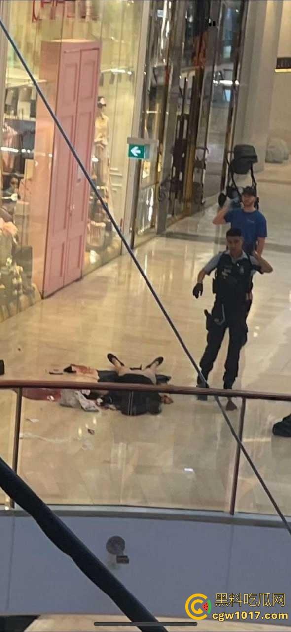 澳大利亚悉尼购物广场,发生无差别持刀砍人事件,网传现场30多人被刺,商场都是尸体多人死亡 !-6