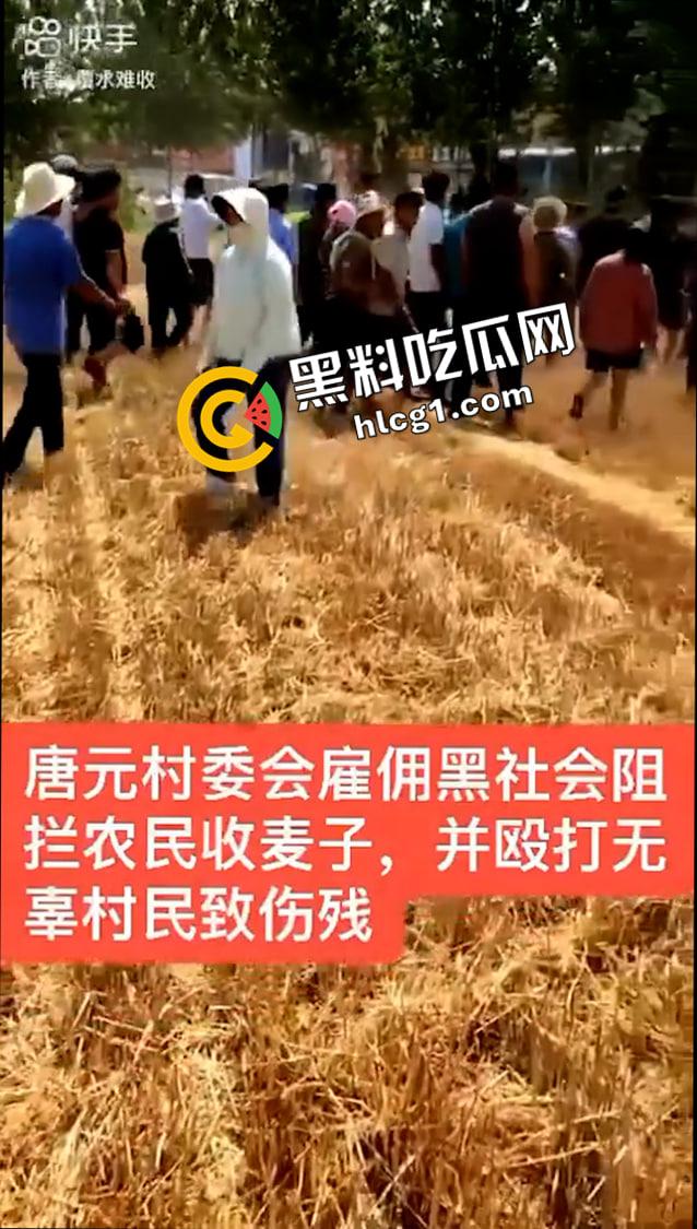 山东聊城 唐元镇村委会雇佣社会人员殴打村民 警察在一旁毫无作为 抖音删帖原视频-2