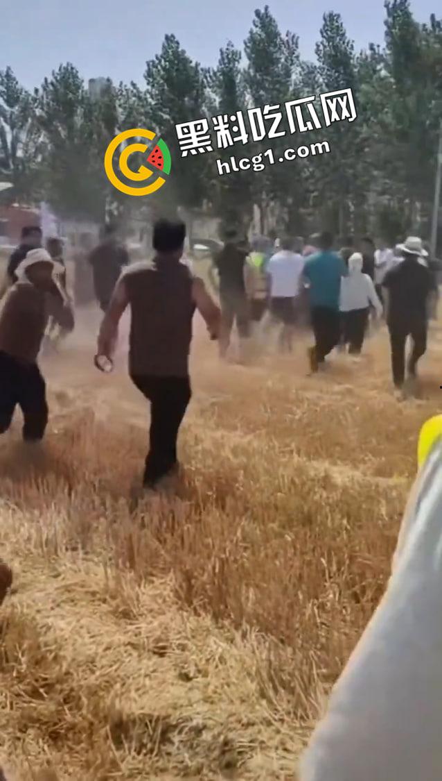 山东聊城 唐元镇村委会雇佣社会人员殴打村民 警察在一旁毫无作为 抖音删帖原视频-4