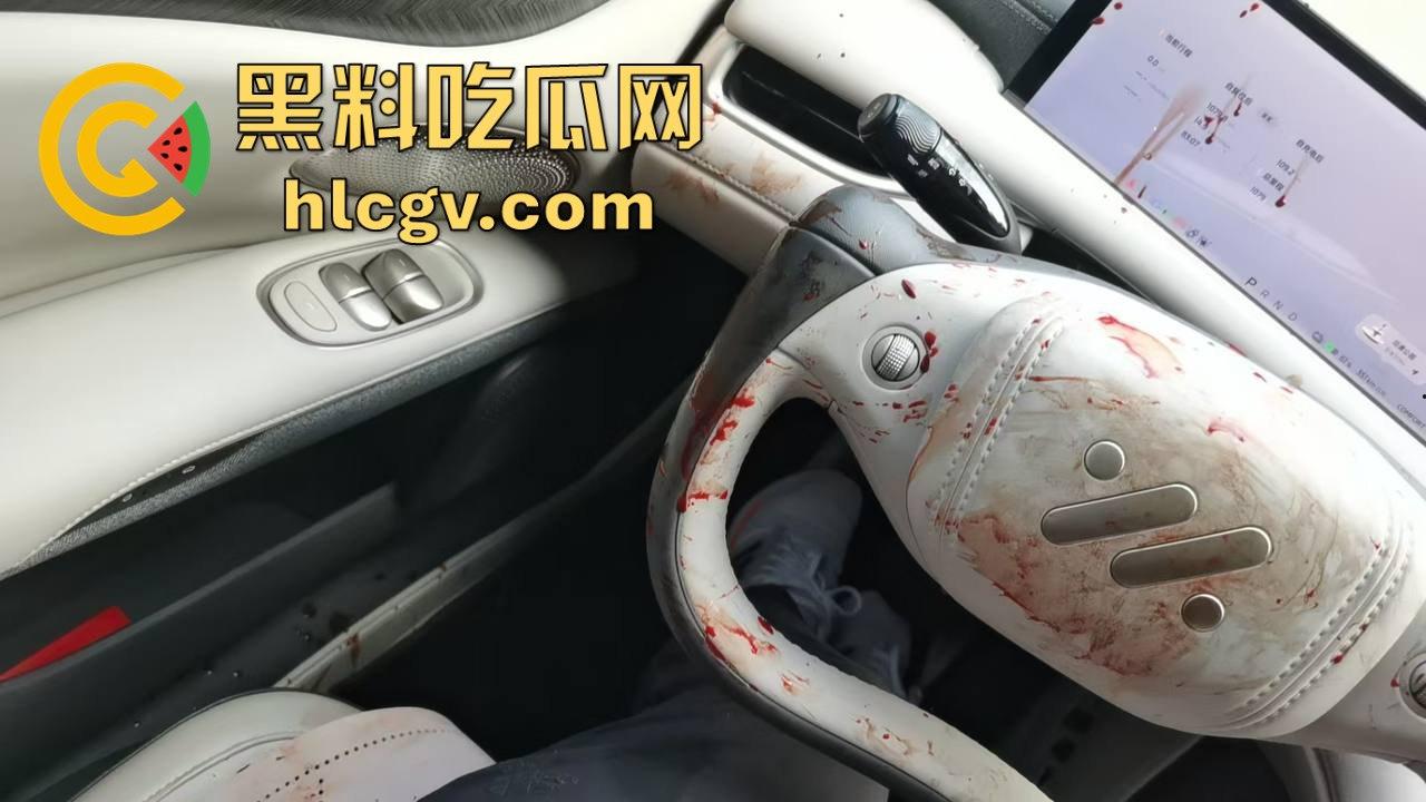 瓜友投稿提新车还得见血？智己测评见鸡血，婆婆竟找神婆做法，这年头唯物主义去哪了？-2