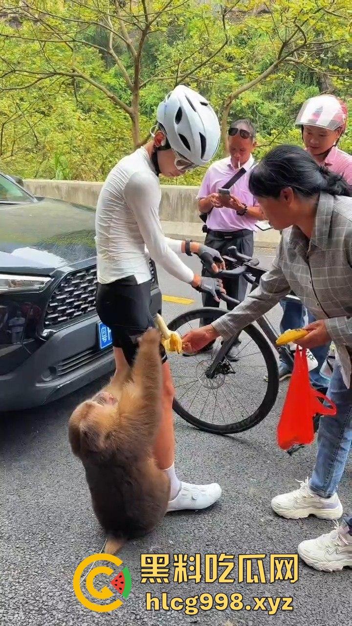 奇葩猴子不吃香蕉专爱美女！见到女的就疯狂抱大腿、抓胸、扯头发！-4