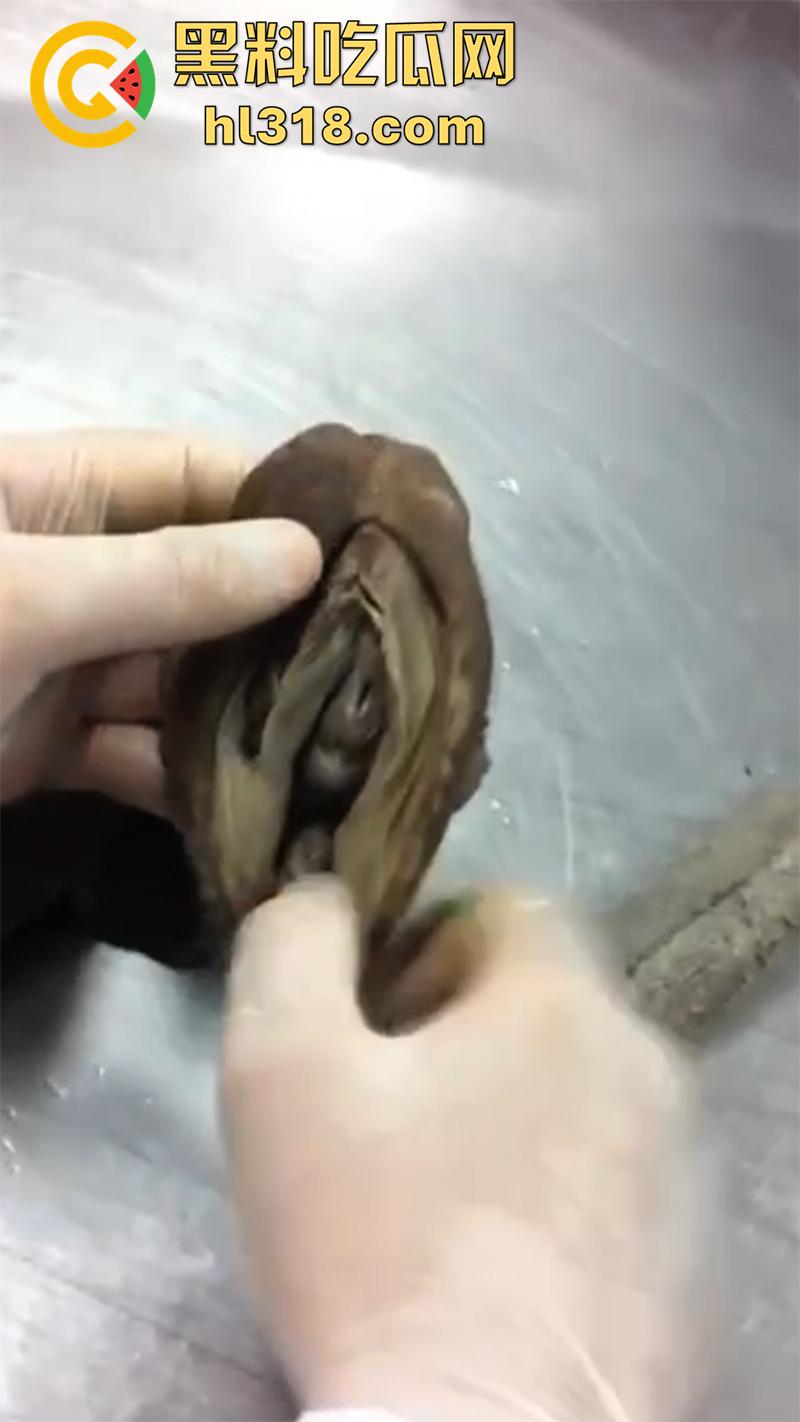 真实西藏密宗法器“肉莲花”,少女被108罗汉轮奸后,五毒侵蚀九蒸九炼,活体切割才可肉莲大成!-1