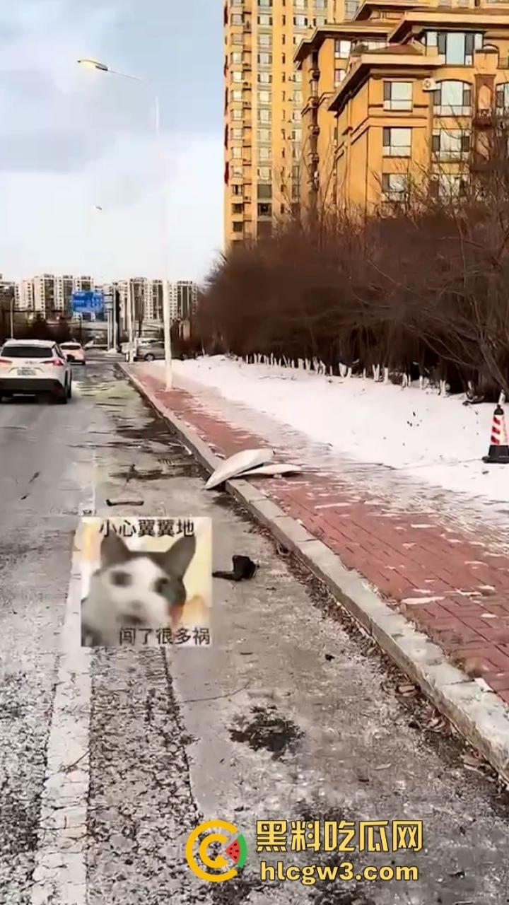 吉林妙龄女开奔驰撞倒电线杆车头损毁严重 乐观表示：红灯都没闯过-11