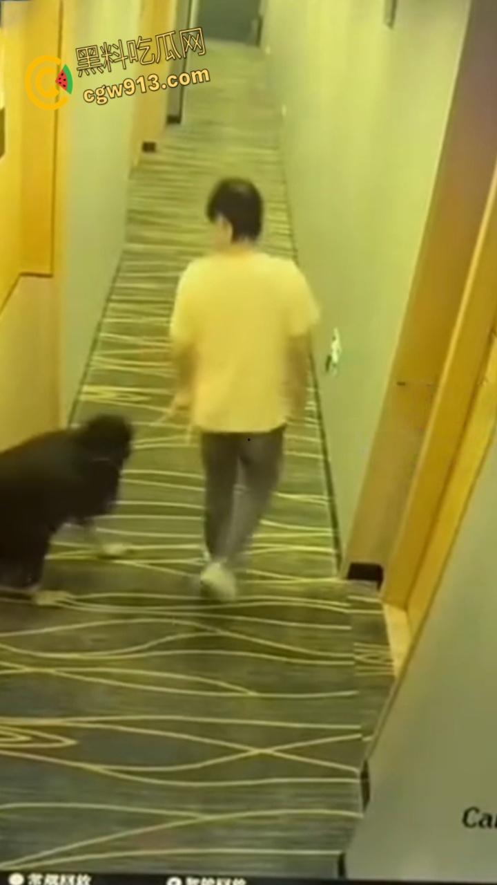 酒店监控拍下吾辈楷模，男子牵狗链，黑群女子像狗爬行，路过群众惊掉下巴，奇葩任务引爆字母圈 !-2