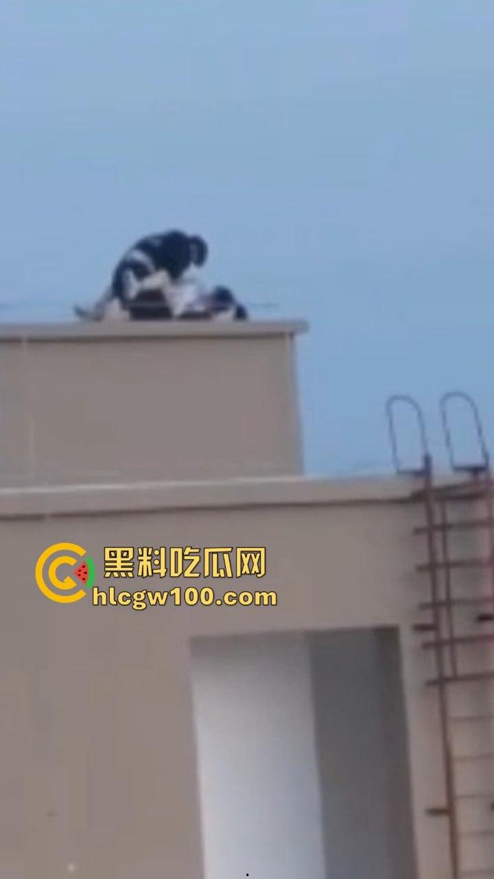 天台高能现场曝光，楼梯间顶上日逼看风景，高处做爱骚浪翻天，这种玩法不是一般人敢尝试的，真实艺高人胆大！-5