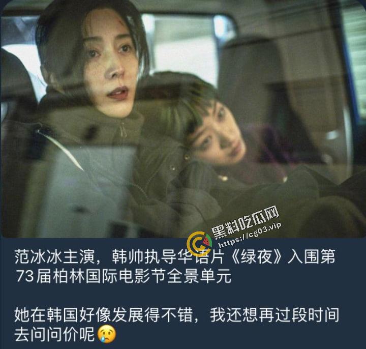 【范冰冰】携最新韩国同性题材三级片【绿夜】显身柏林电影节 先带瓜友品一下片中的大尺度戏码-1