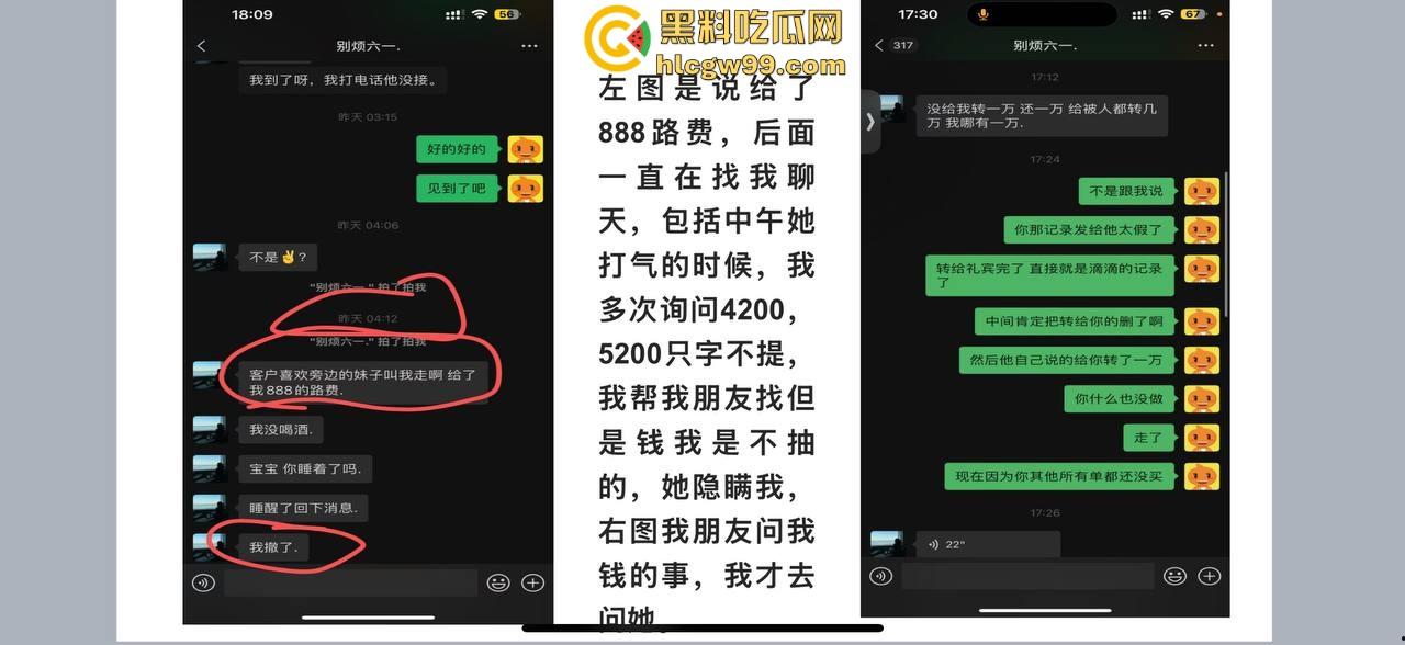 夜场故事2，武汉商K女模【别烦六一】诈骗同事金主收钱就拉黑跑单，通报性爱PDF爆出，真下头！-8