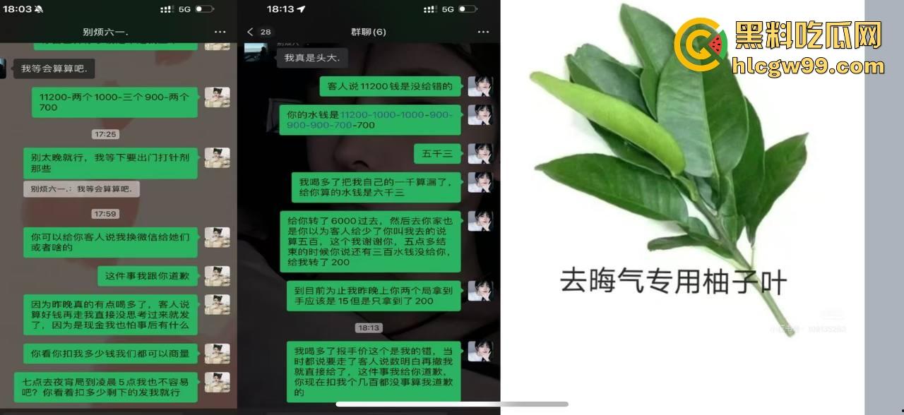 夜场故事2，武汉商K女模【别烦六一】诈骗同事金主收钱就拉黑跑单，通报性爱PDF爆出，真下头！-25