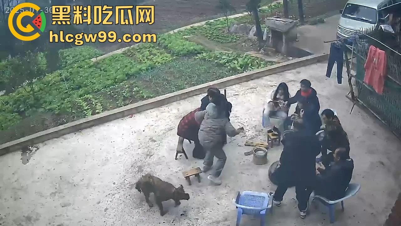 重庆狗子掉进粪坑惨变生化武器 出坑后全家总动员 结果反被狗狂追满院狂喷 粪味冲天！-3