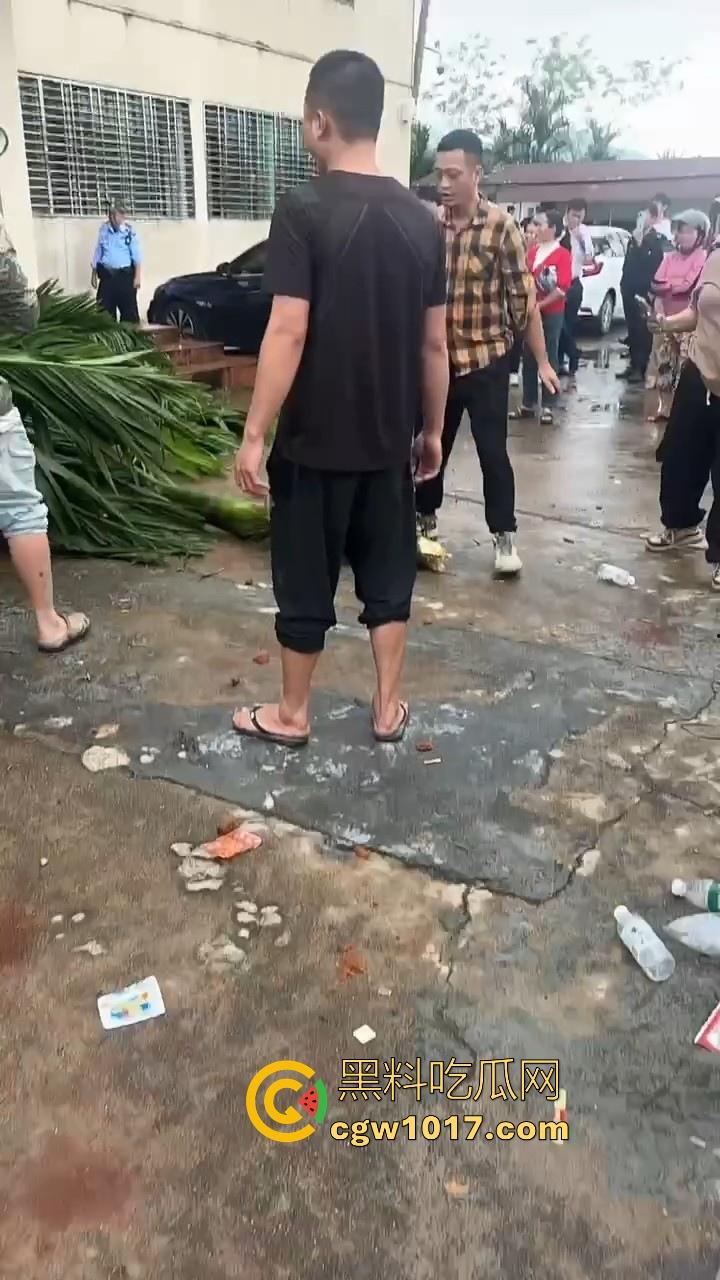 海南琼中爆发大规模群体抗争！因海南天然橡胶产业集团偷砍农民的槟榔田爆发，现场的农民们情绪机动！-9