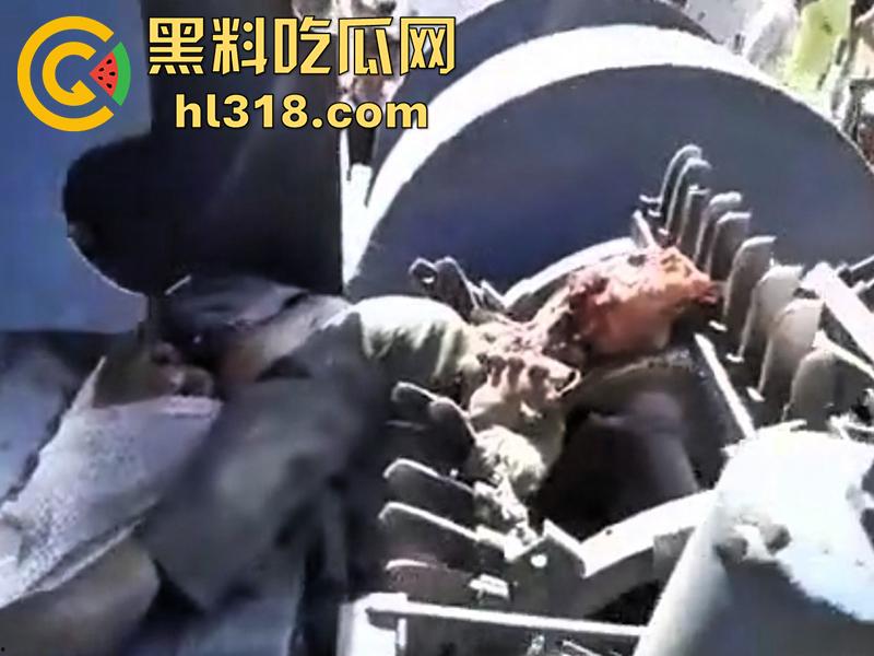印度农场突发事故,男子偷闲抽烟时,遭同伴恶搞吓唬,竟意外卷入收割机,胸部以下被当场碾碎!-5