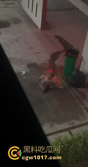 出来混迟早要还的！缅甸财通幸运园区一名狗推，因为没业绩被公司多名管理围殴从二楼丢下致死，电诈也不好做了！-9