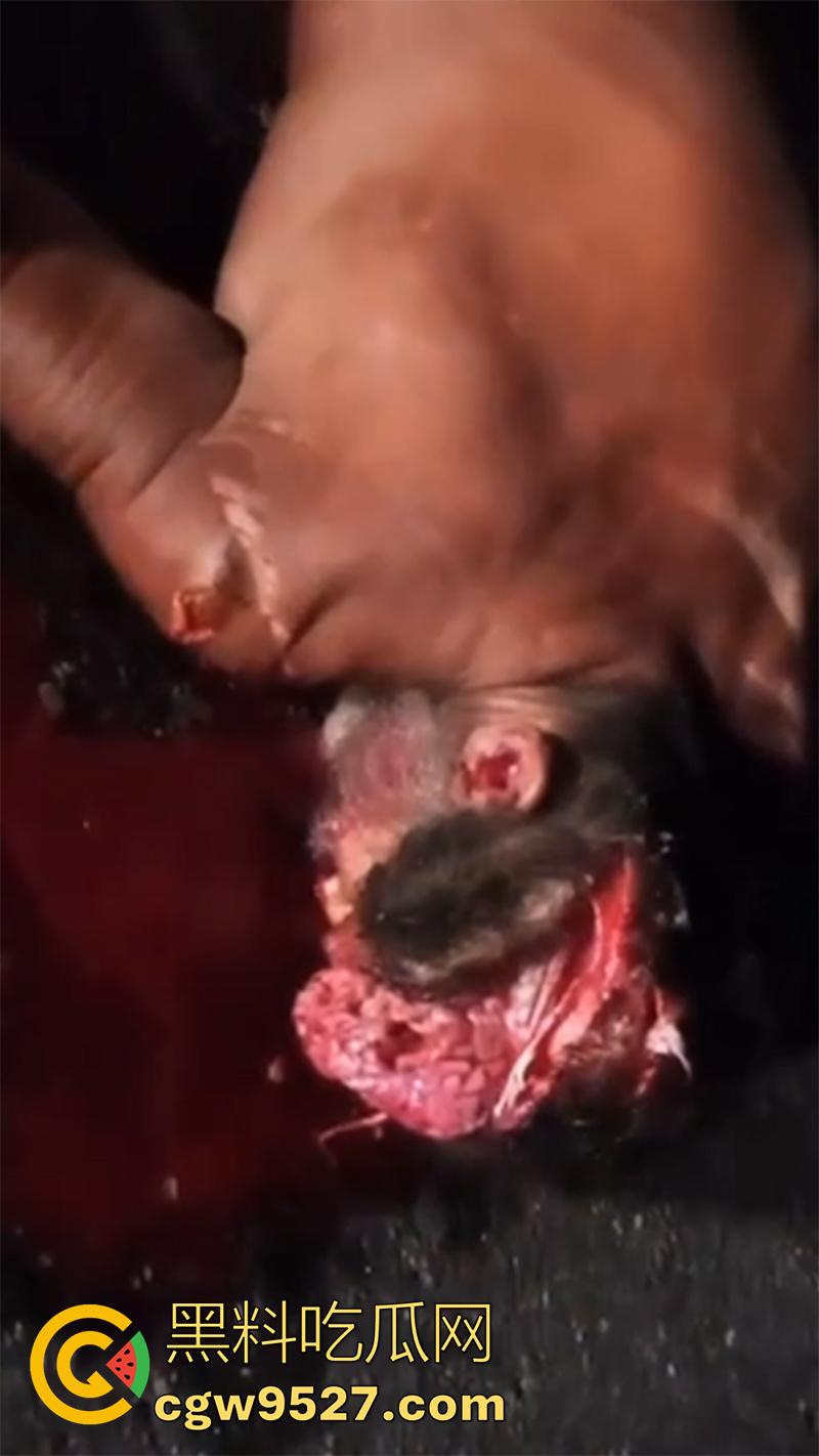 暗网流出血腥合集，吃人腿爆头剥皮车祸，想要的应有尽有，场面血腥过于重口，胆小者谨慎观看！-4