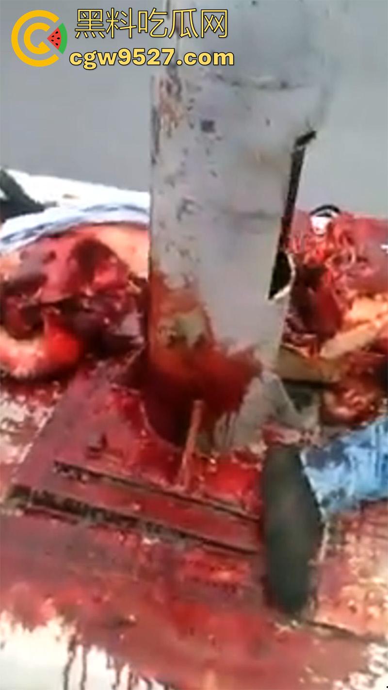 暗网流出血腥合集，吃人腿爆头剥皮车祸，想要的应有尽有，场面血腥过于重口，胆小者谨慎观看！-6