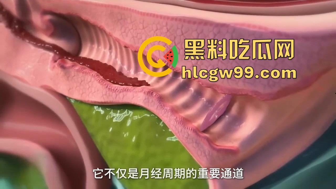 健康的阴道到底啥味儿？为啥说有股酸奶味 真的是乳酸菌的功劳吗？-11