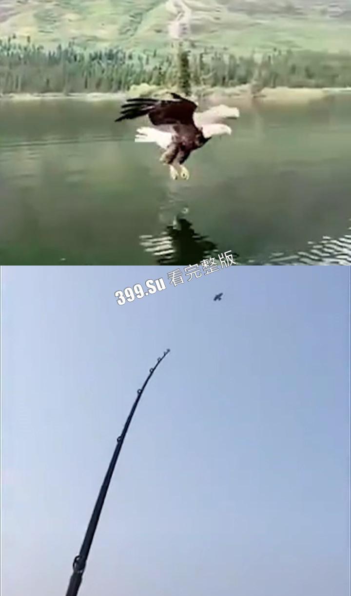 钓鱼佬篇  反正除了鱼啥都能钓到  就很离谱！-12