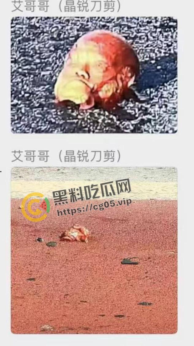 浙江极氪001撞死横穿马路路人 人头分离 整个脑浆撞出来了 现场血腥画面报告-5