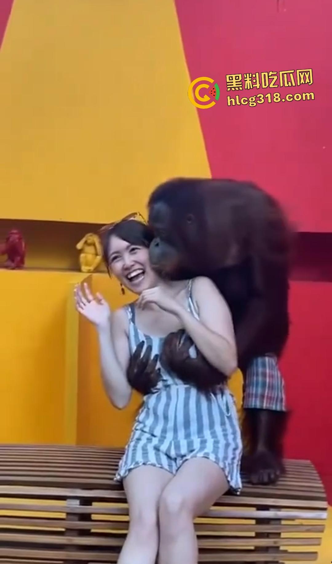 美女与猩猩合照遭“性”骚扰！亲脸抓奶牵手搞得美女笑得合不拢嘴！下辈子我也要当猩猩！-4