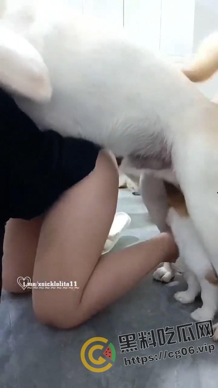 人兽主播 【虎牙妹儿】 曾用名 糖宝和毛孩子 一女大战20之狗 与狗群交开直播 逼上倒牛奶吸引狗舔 变态癖好无下限-9